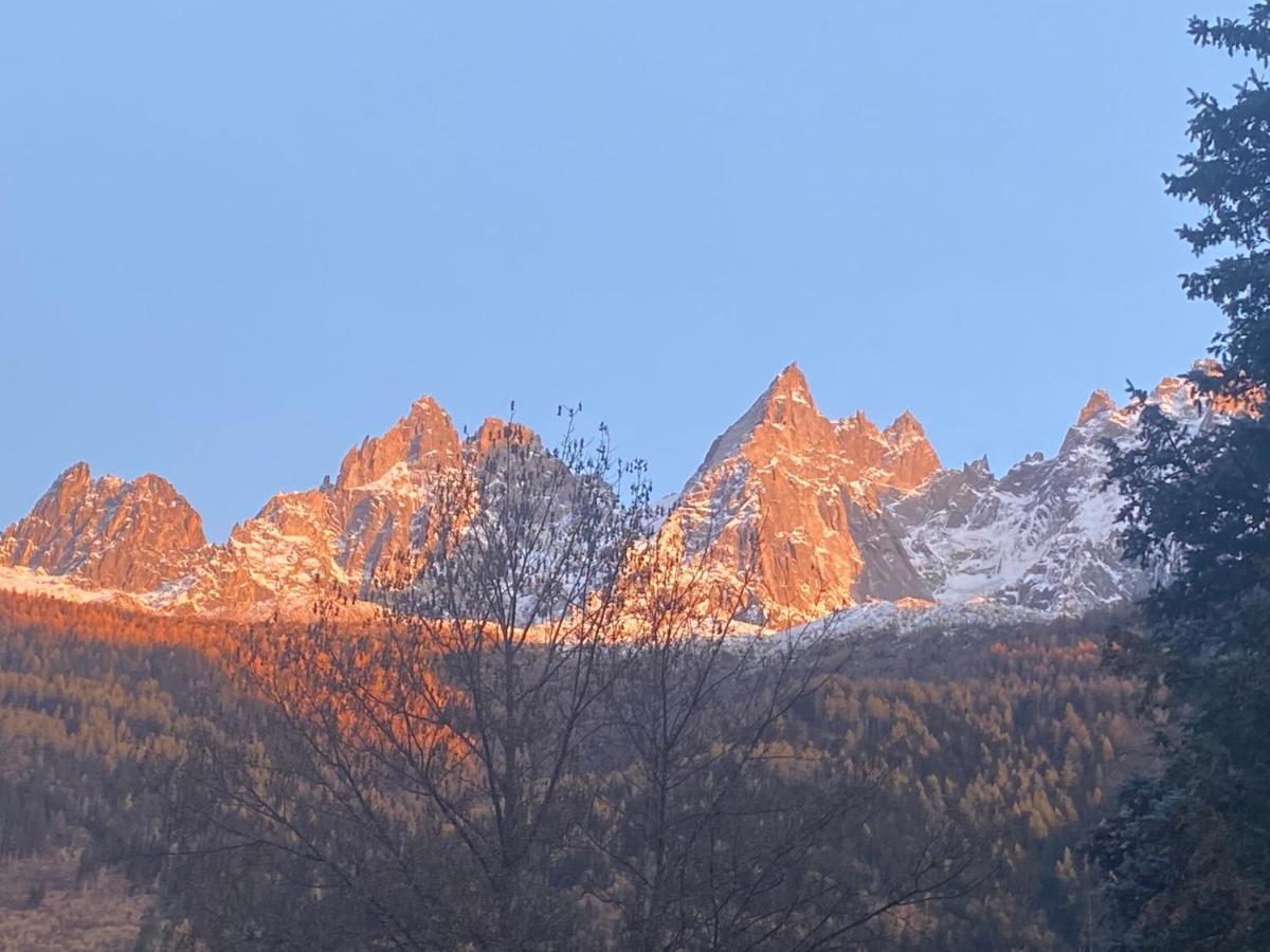 Appartement Chamonix - Majestic Vue Mont Blanc Extérieur photo